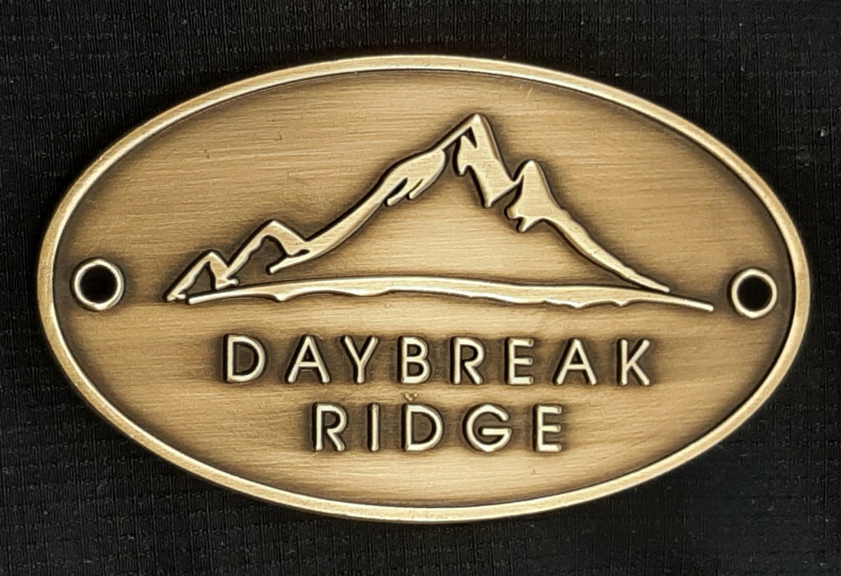 Daybreak embossed oval antique brass brassname